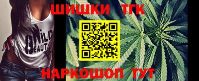 МДПВ Камышлов