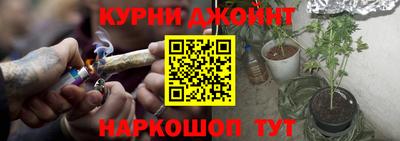 МДПВ Камышлов