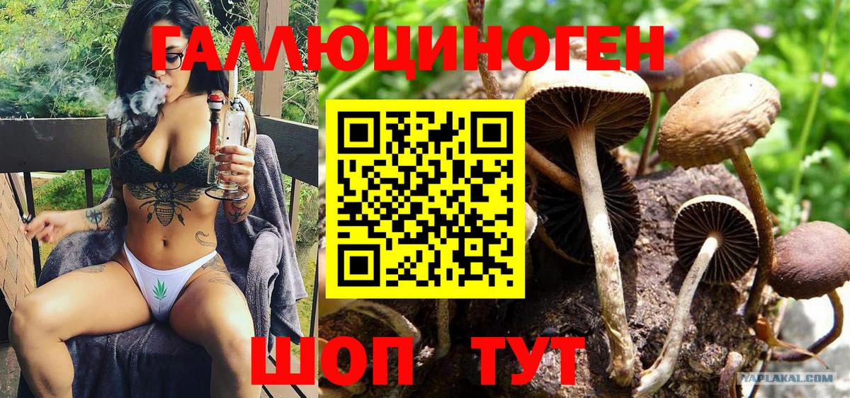 Псилоцибиновые грибы MAGIC MUSHROOMS  Вход с VPN  Калуга 